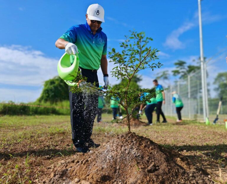 Tree Planting Event In Conjunction With The World Meterological Day 2025